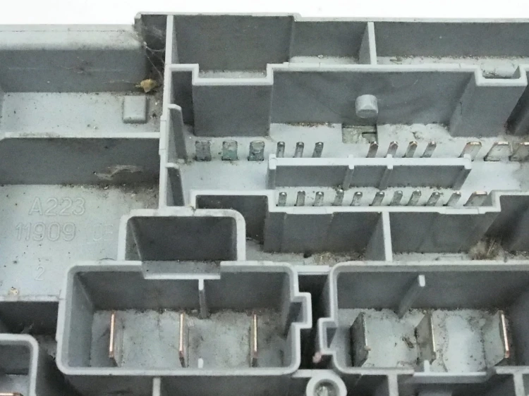 51759555 5.jpg