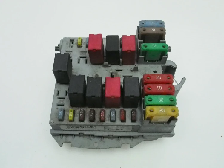 51781081 1.jpg