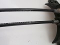 linki grande 5637 2.jpg