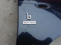 logo bertone.jpg
