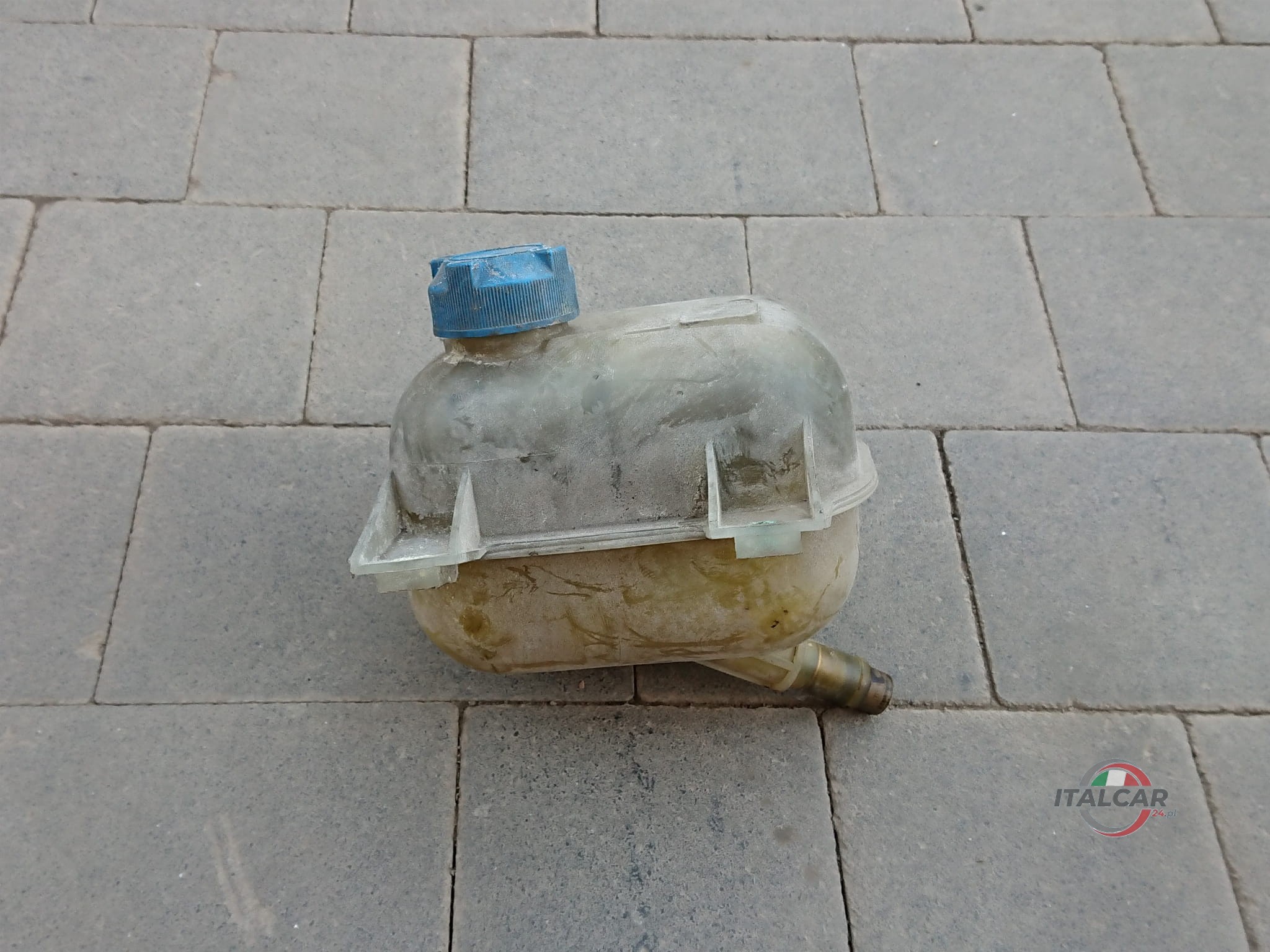 DSC_0093.JPG