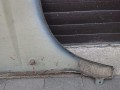 DSC_0966.JPG