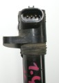 cewka1a.JPG