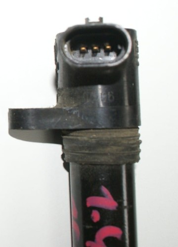 cewka1a.JPG