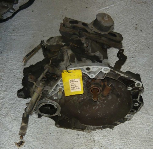 panda 1 1.JPG