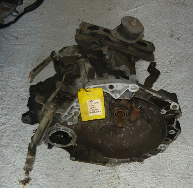 panda 1 1.JPG