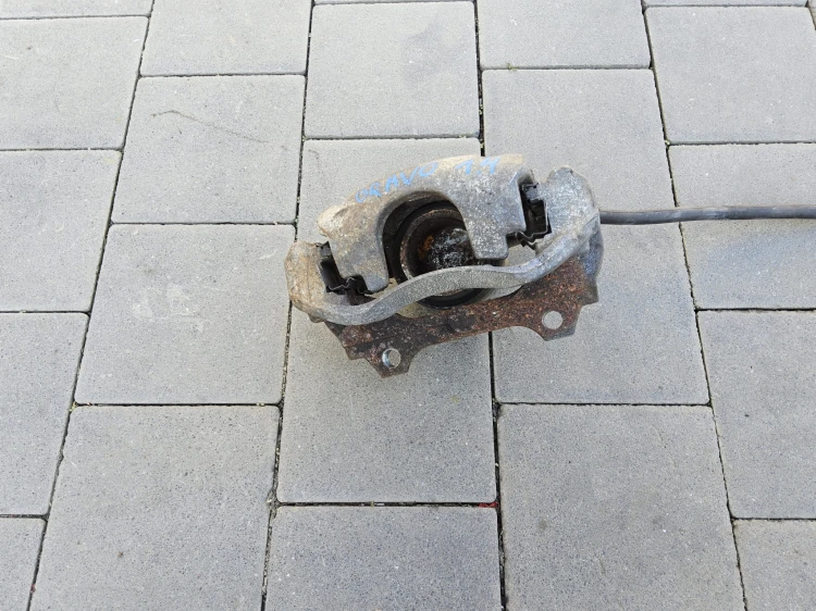20230929_111911.jpg