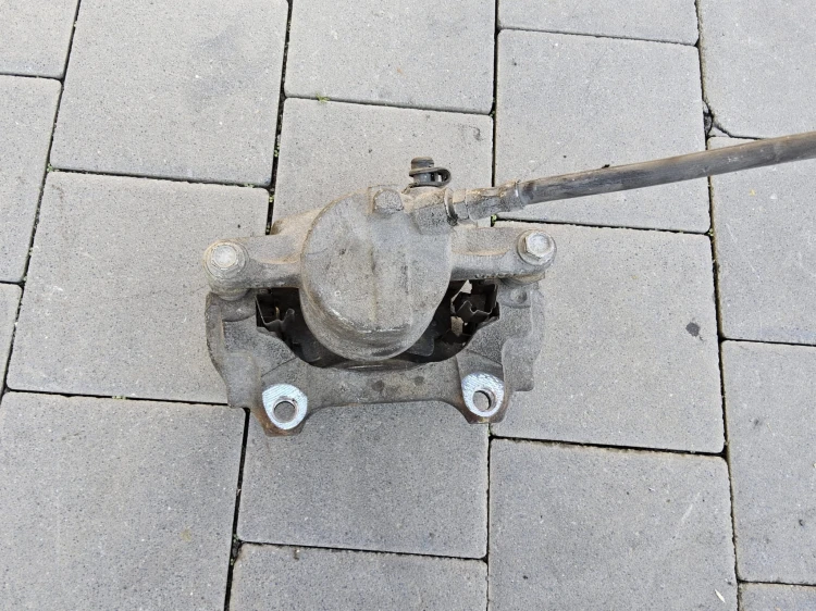 20230929_112559.jpg