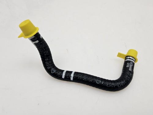 20240407_180145.jpg
