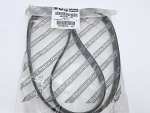 Pasek klinowy wielorowkowy  Fiat Tipo Bravo 2 - nowy nr: 55232450