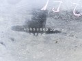20240715_171824.jpg