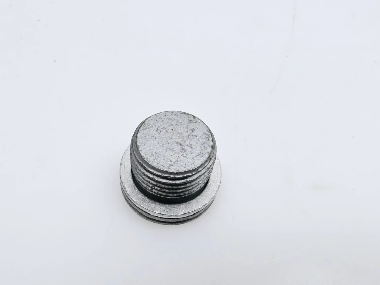 20240725_211257.jpg