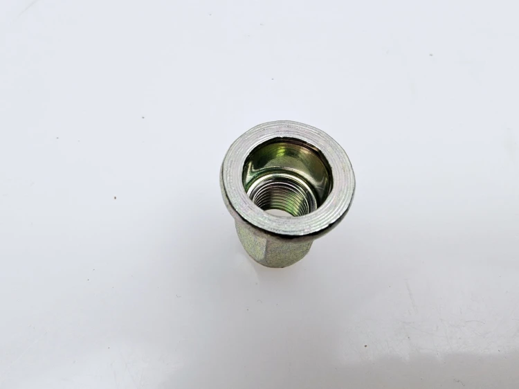 20240927_162255.jpg