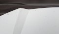 20250213_155553.jpg
