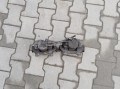 zacisk hamulcowy przedni do tarczy litej, zaciski komplet Alfa Romeo 147 156