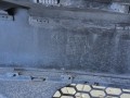 474.jpg