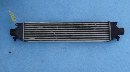 intercooler bravo 1.JPG
