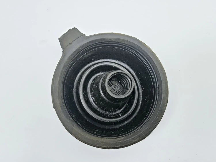 1000022010.jpg