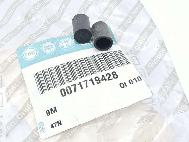 1000022072.jpg