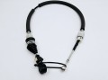 1000022554.jpg