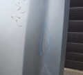 1000023103.jpg