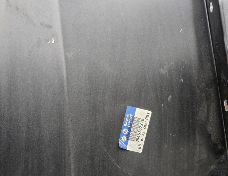 1000023153.jpg