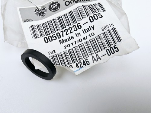 1000024387.jpg