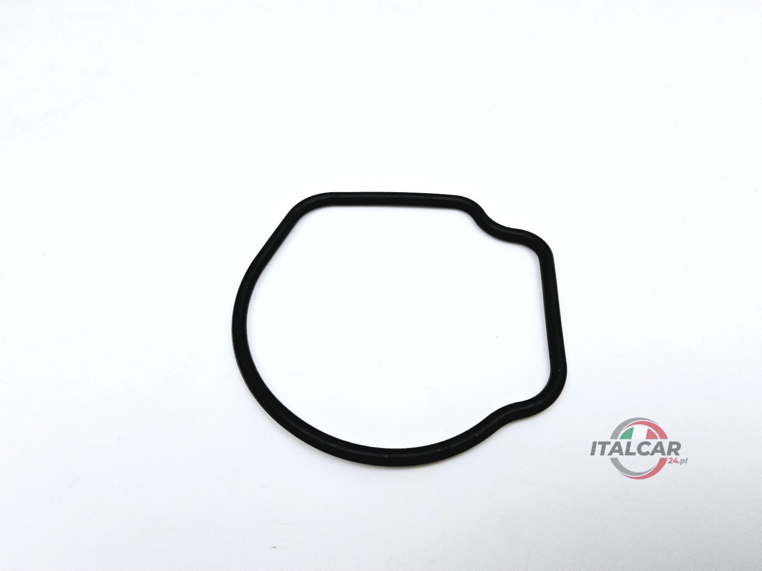 Uszczelka termostatu 1,3 Jtd Fiat