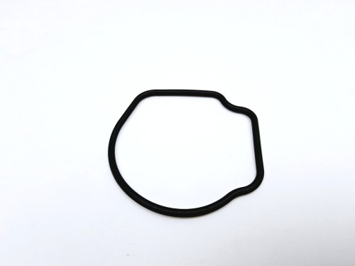 Uszczelka termostatu 1,3 Jtd Fiat