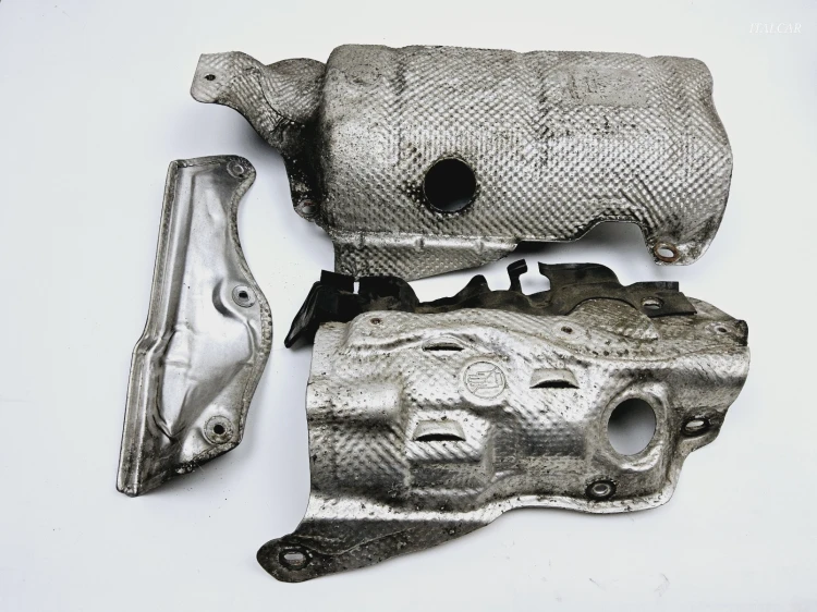 1000026153.jpg