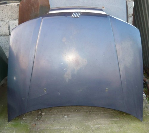 fiat palio nieb 120.JPG