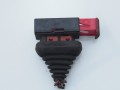 DRSB 240130 4.jpg