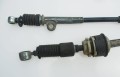 linki fiorino f.jpg