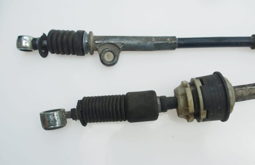 linki fiorino f.jpg