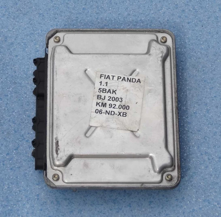 panda 8.JPG