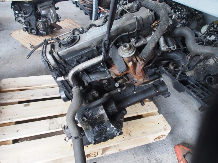 PA110236.JPG